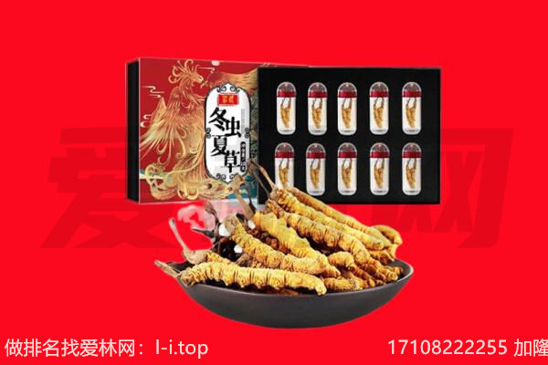 海南保亭县回收虫草.jpg